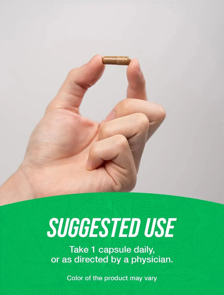 BULK SUPPLEMENTS - Bulk Supplements Echinacea Extract 500Mg. 240 Capsulas - The Red Vitamin MX - Suplementos Alimenticios - {{ shop.shopifyCountryName }}