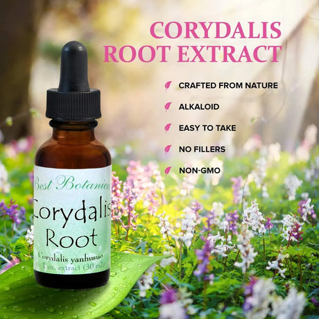 BEST BOTANICALS - Best Botanicals Corydalis Root Extract 30Ml. - The Red Vitamin MX - Suplementos Alimenticios - {{ shop.shopifyCountryName }}