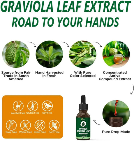 KINGHEALTH - KingHealth Organic Soursop Graviola Guanabana Leaves Extract Liquid 4 Fl.Oz. - The Red Vitamin MX - Suplementos Alimenticios - {{ shop.shopifyCountryName }}