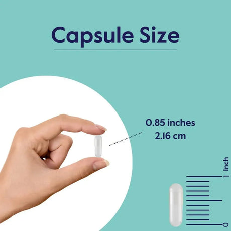 BESTVITE - BESTVITE Benfotiamine 300Mg. 120 Capsulas - The Red Vitamin MX - Suplementos Alimenticios - {{ shop.shopifyCountryName }}