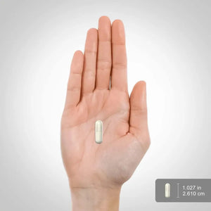 PIPING ROCK - Piping Rock Colostrum 1000Mg. 120 Capsulas - The Red Vitamin MX - Suplementos Alimenticios - {{ shop.shopifyCountryName }}