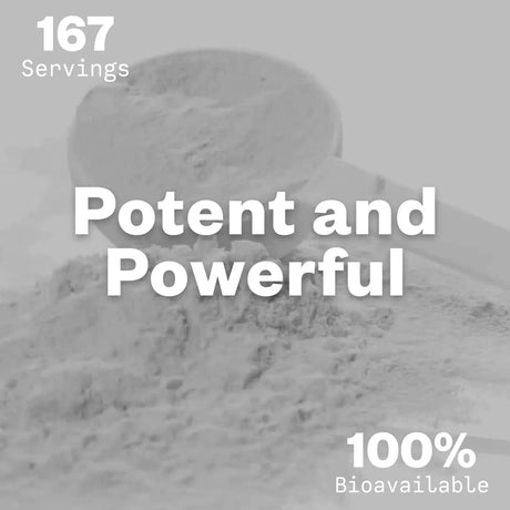 PURISURE - Purisure Alpha GPC 50% Powder 100Gr. - The Red Vitamin MX - Suplementos Alimenticios - {{ shop.shopifyCountryName }}