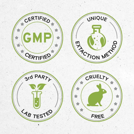 SECRETS OF THE TRIBE - Secrets of the Tribe Schisandra 1000Mg. 120 Capsulas - The Red Vitamin MX - Suplementos Alimenticios - {{ shop.shopifyCountryName }}