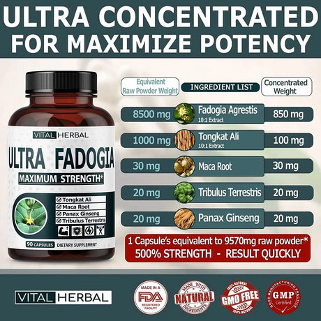VITAL HERBAL - Vital Herbal Ultra Fadogia Agrestis 10:1 Extract Tongkat Ali 9570Mg. 90 Capsulas - The Red Vitamin MX - Suplementos Alimenticios - {{ shop.shopifyCountryName }}